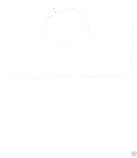 Nothing Means Anything Logo